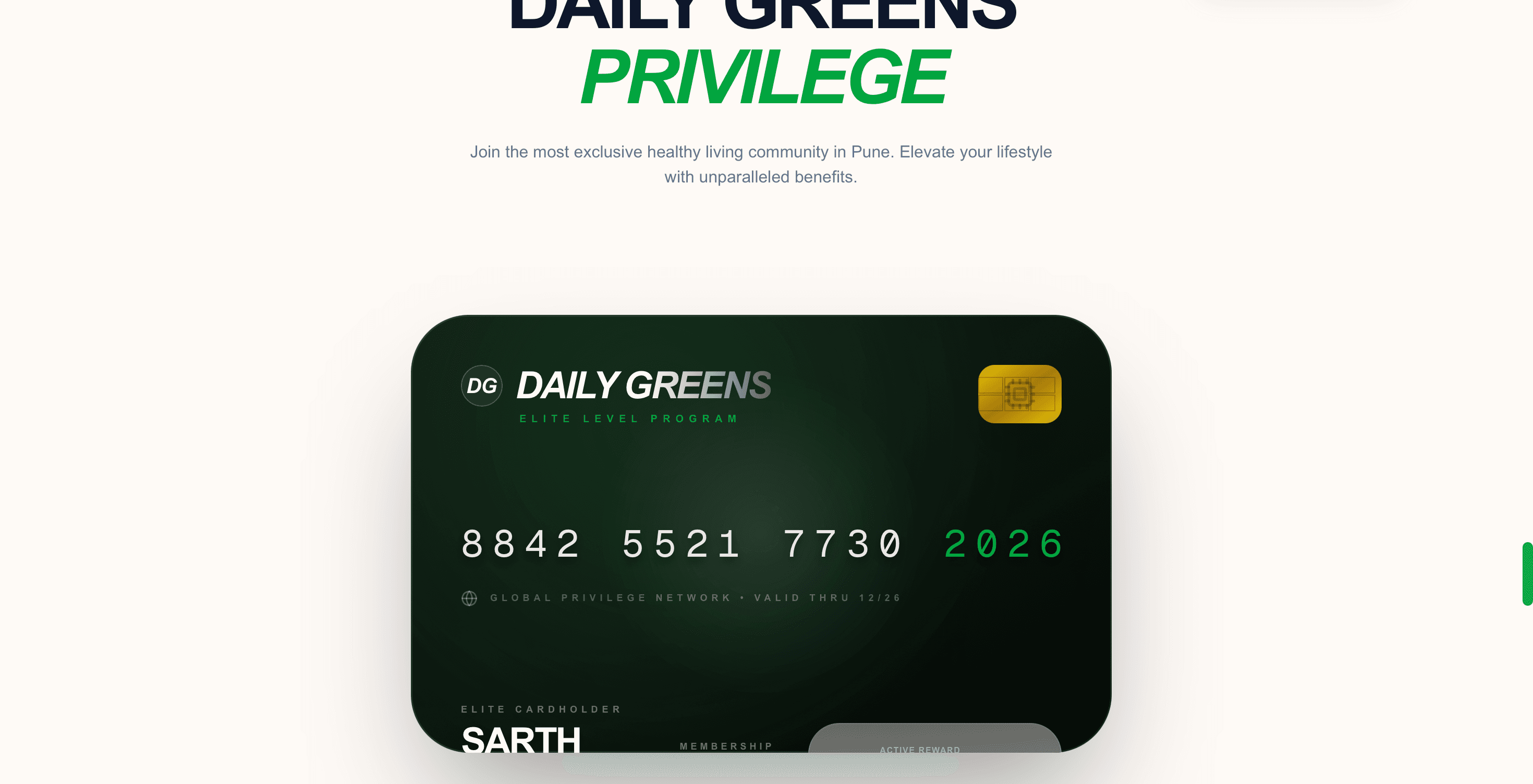 Daily Greens – Healthy Dining Experience Experience Part 12