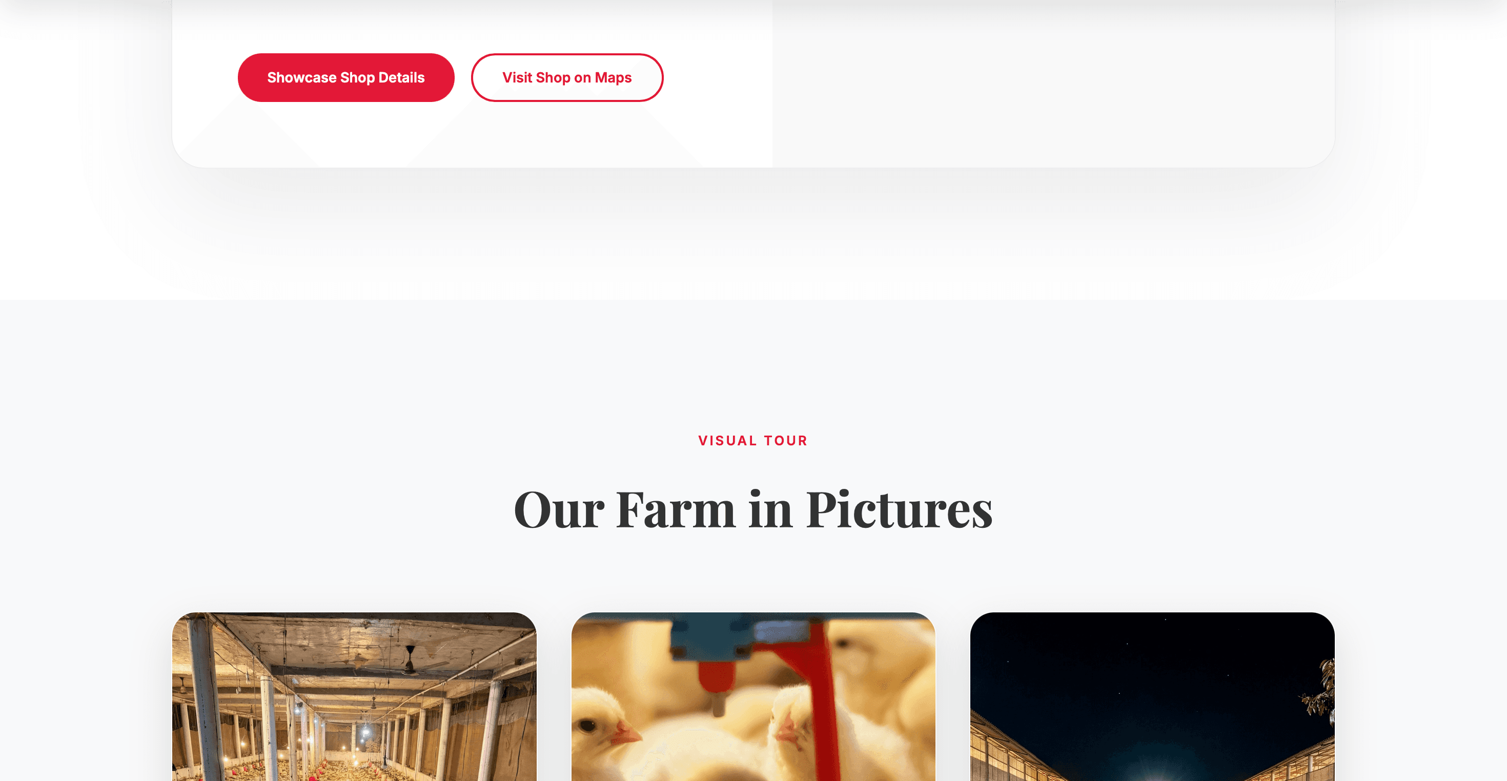 A1 Farms – Agriculture & Fresh Produce Experience Part 5